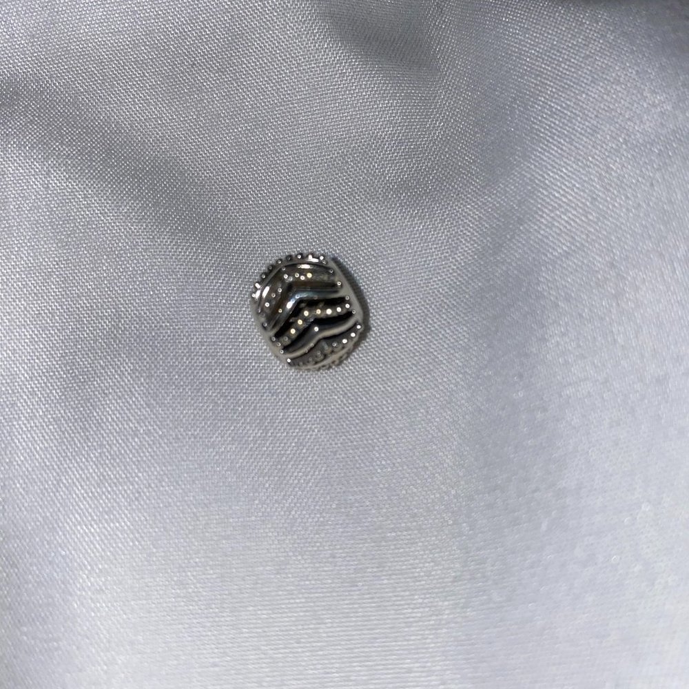 Pandora Bracelet Charm